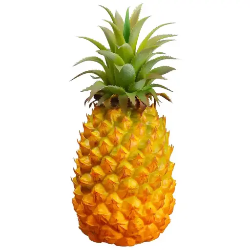 Pineapple Big (India) pc.
