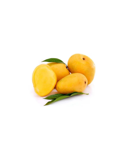 Mango TJC