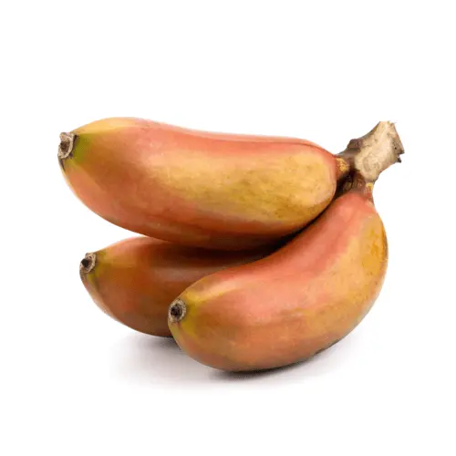 Maalhos Keyo KE Farms