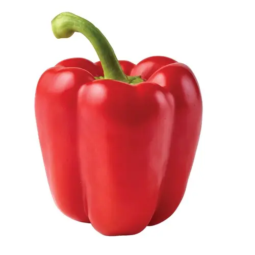 Bell Pepper Red