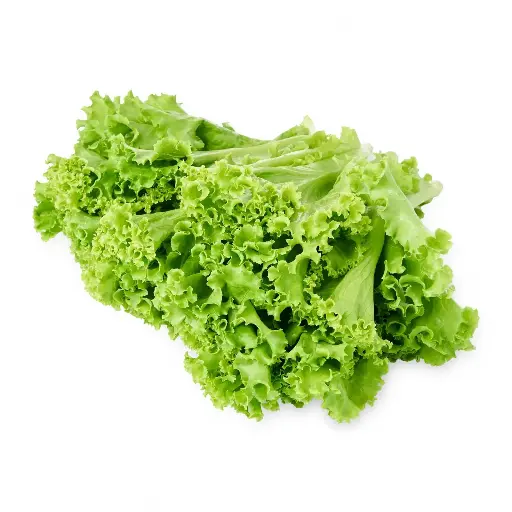 Lettuce Green Coral