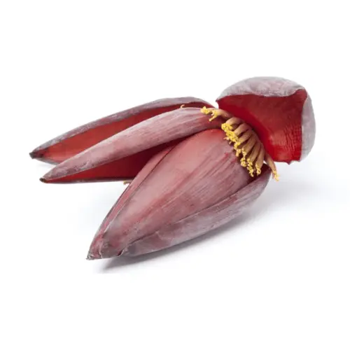 Banana Flower (Sri Lanka)