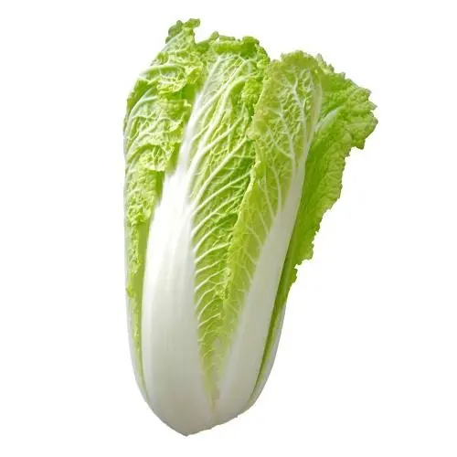 Chinese Cabbage (Sri Lanka)