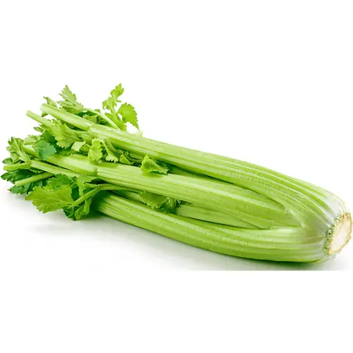 Celery (Sri Lanka)